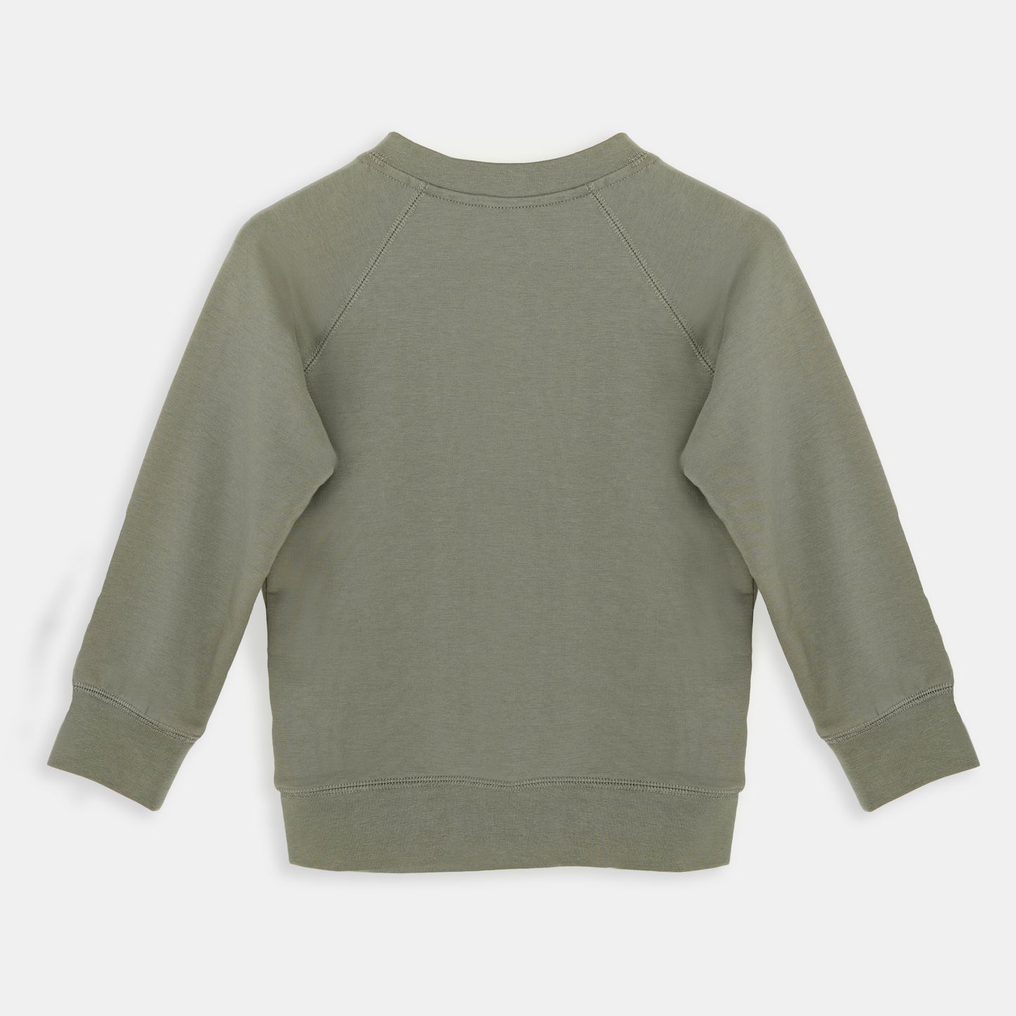 All Weather Sweatshirts Dry-Sage